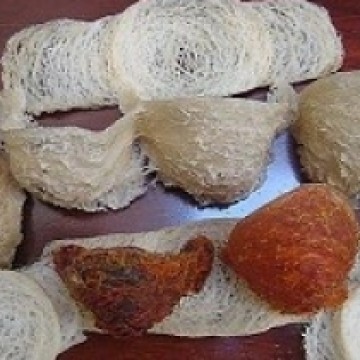 YẾN SÀO - SẢN PHẨM DU LỊCH QUÝ HIẾM
