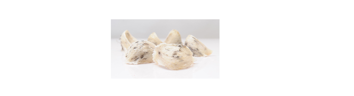 Ăn yến sào bao lâu thì có tác dụng