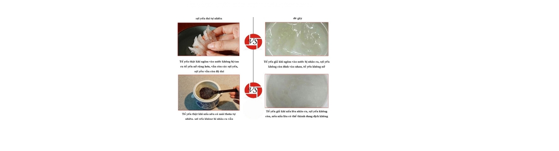 KĨ THUẬT CHỌN MUA TỔ YẾN CHẤT LƯỢNG BẰNG 5 CÁCH ĐƠN GIẢN