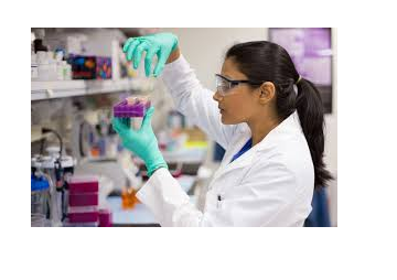 Quản Lý R&D Thực Phẩm
