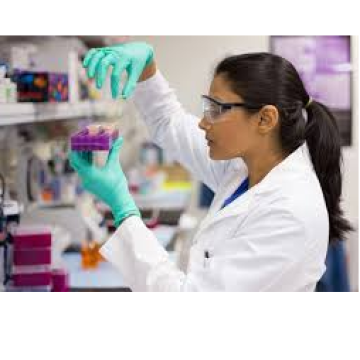 Quản Lý R&D Thực Phẩm